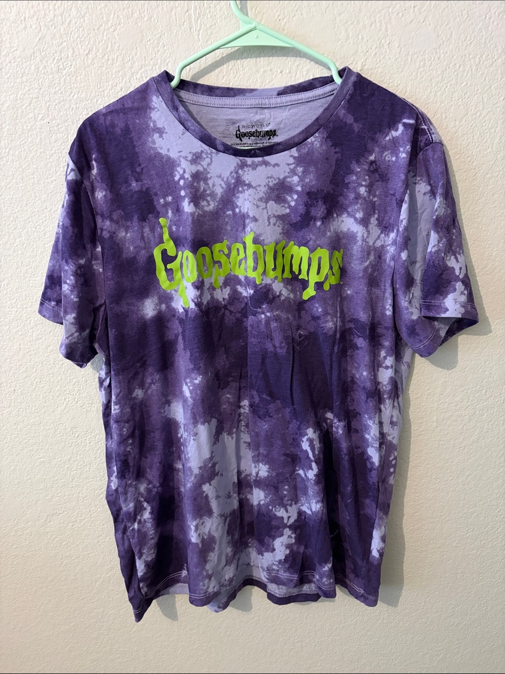 Adult Unisex Bioworld Goosebumps Halloween Purple Tie-Dye Logo Tee